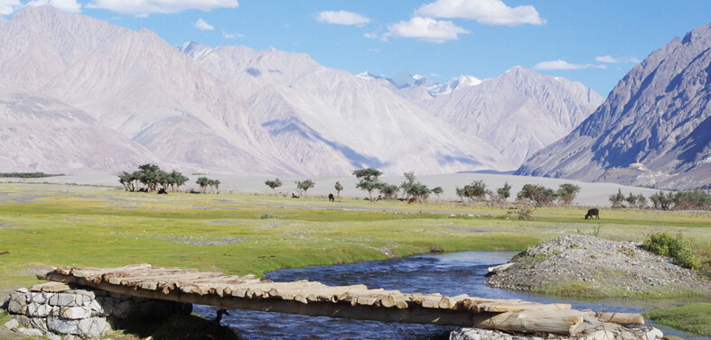 Nubra Valley Trek