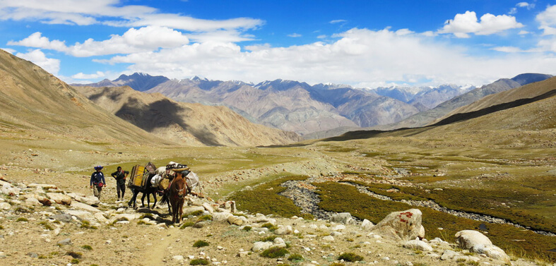 Nubra Valley Trek Tour