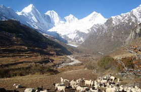 Panchachuli Base Camp Trek