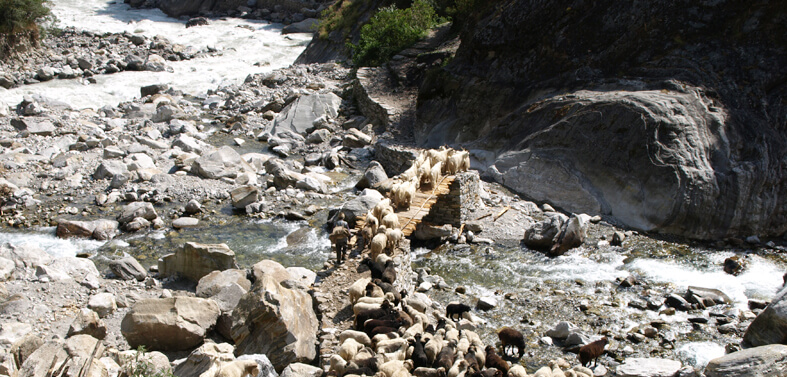 Panchachuli Base Camp Trek