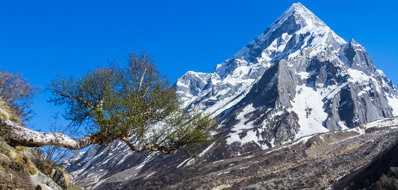 Sudarshan Parbat Peak Climbing