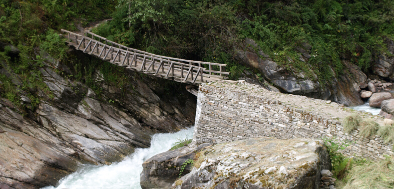 Trek to Pindari Glacier