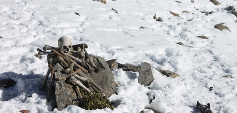 Roopkund Trek Tour