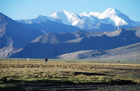 Rupshu Trek