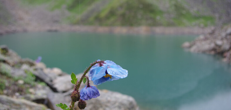 Satopanth Lake Trekkings