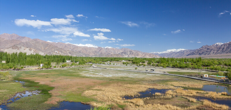 Sham - Indus Valley Treks