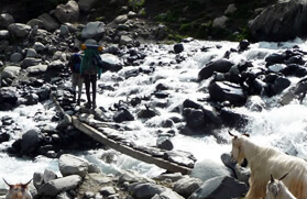 Shepherd Trail Gaddi Trek