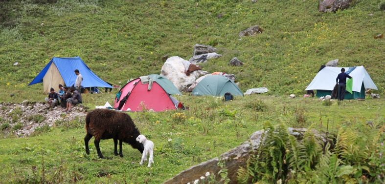 Shepherd Trail Gaddi Trek Route