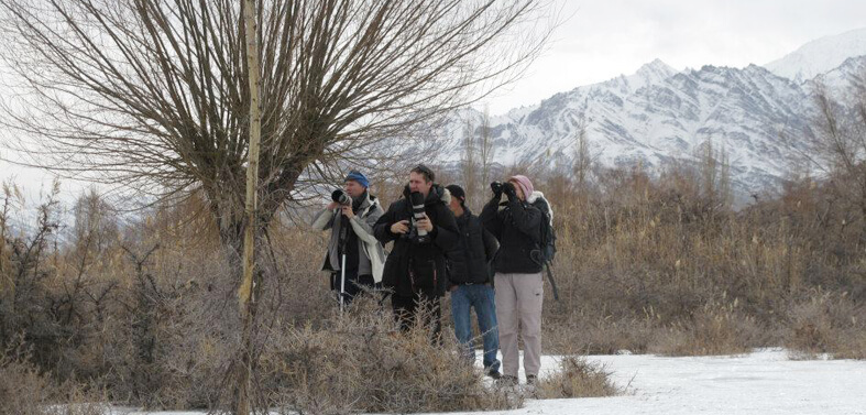 Snow Leopard Trek Tour