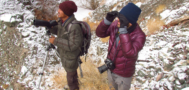 Snow Leopard Trekking