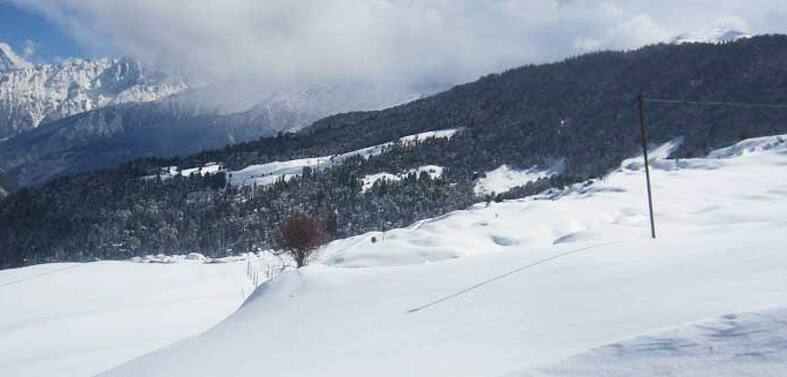 Auli Snow View Trek