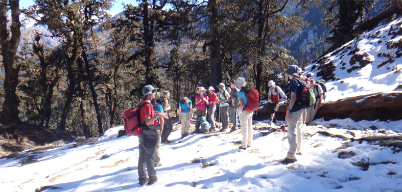 Auli Snow View Trek Route