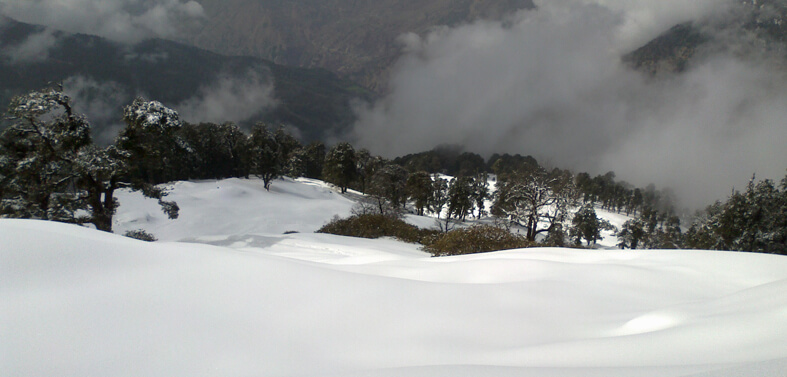 Chopta Chandrashila Trekking Tours