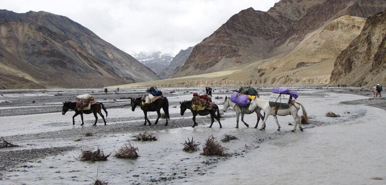 Spiti to Ladakh Trek Route