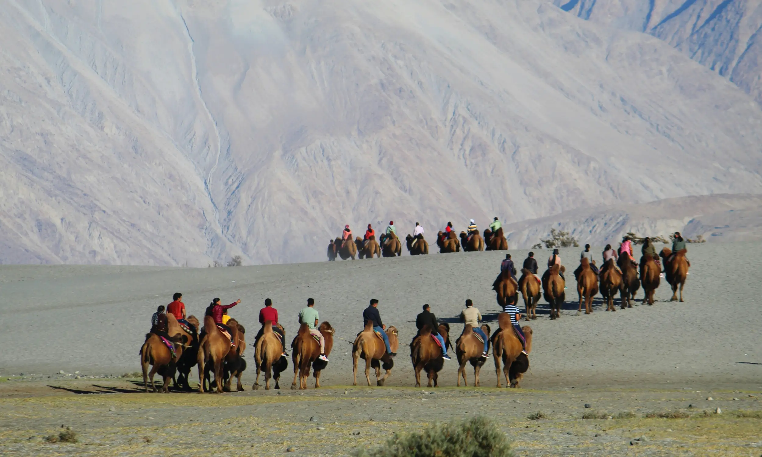 Trekking in Ladakh