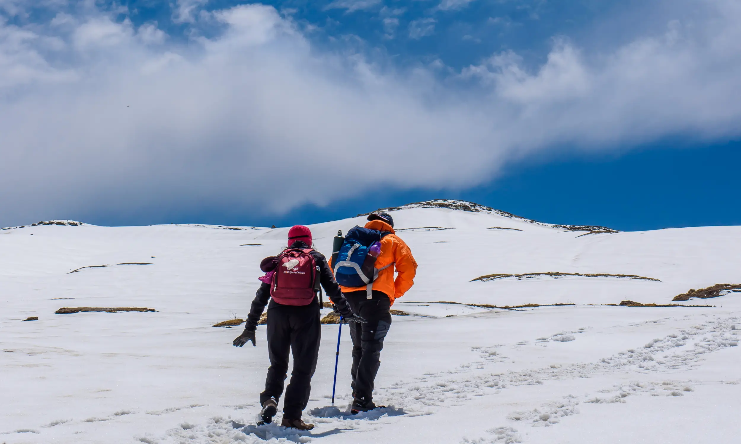 The Lord Curzon Trail - Kuari Pass Trek