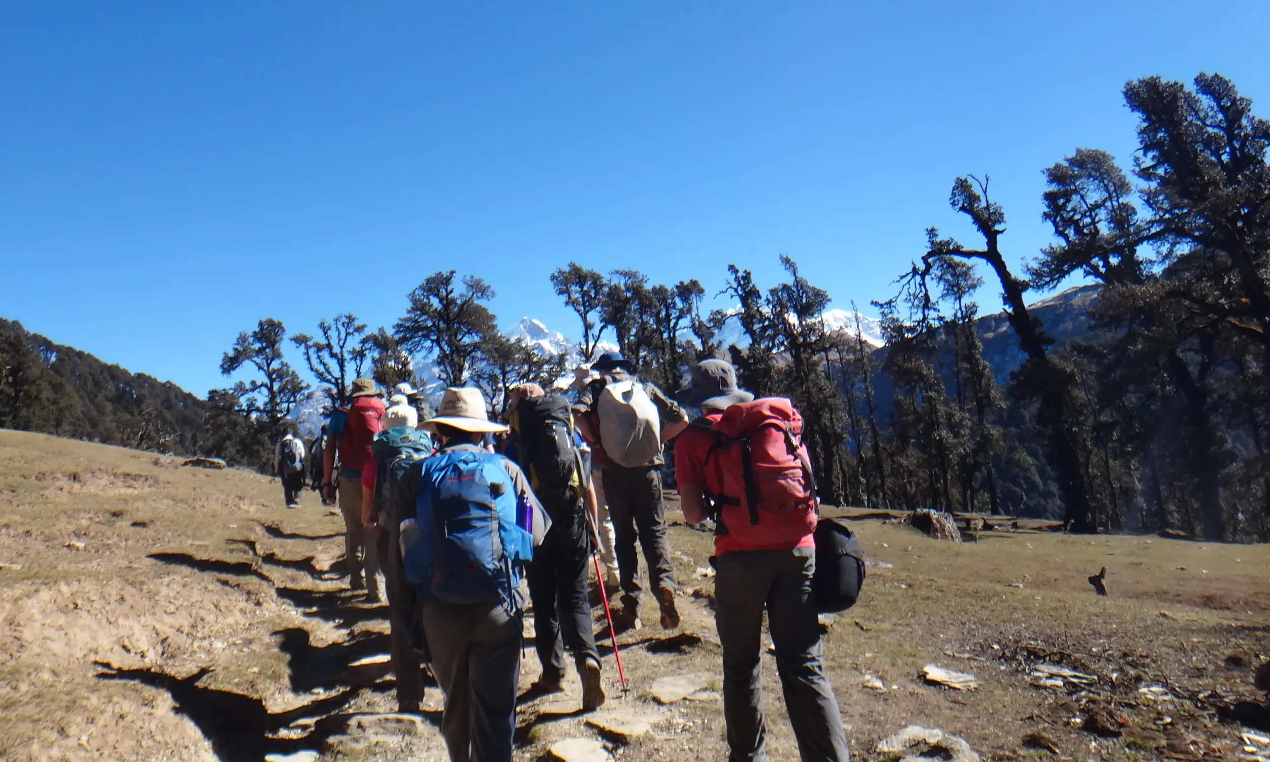 The Lord Curzon Trail - Kuari Pass Trek