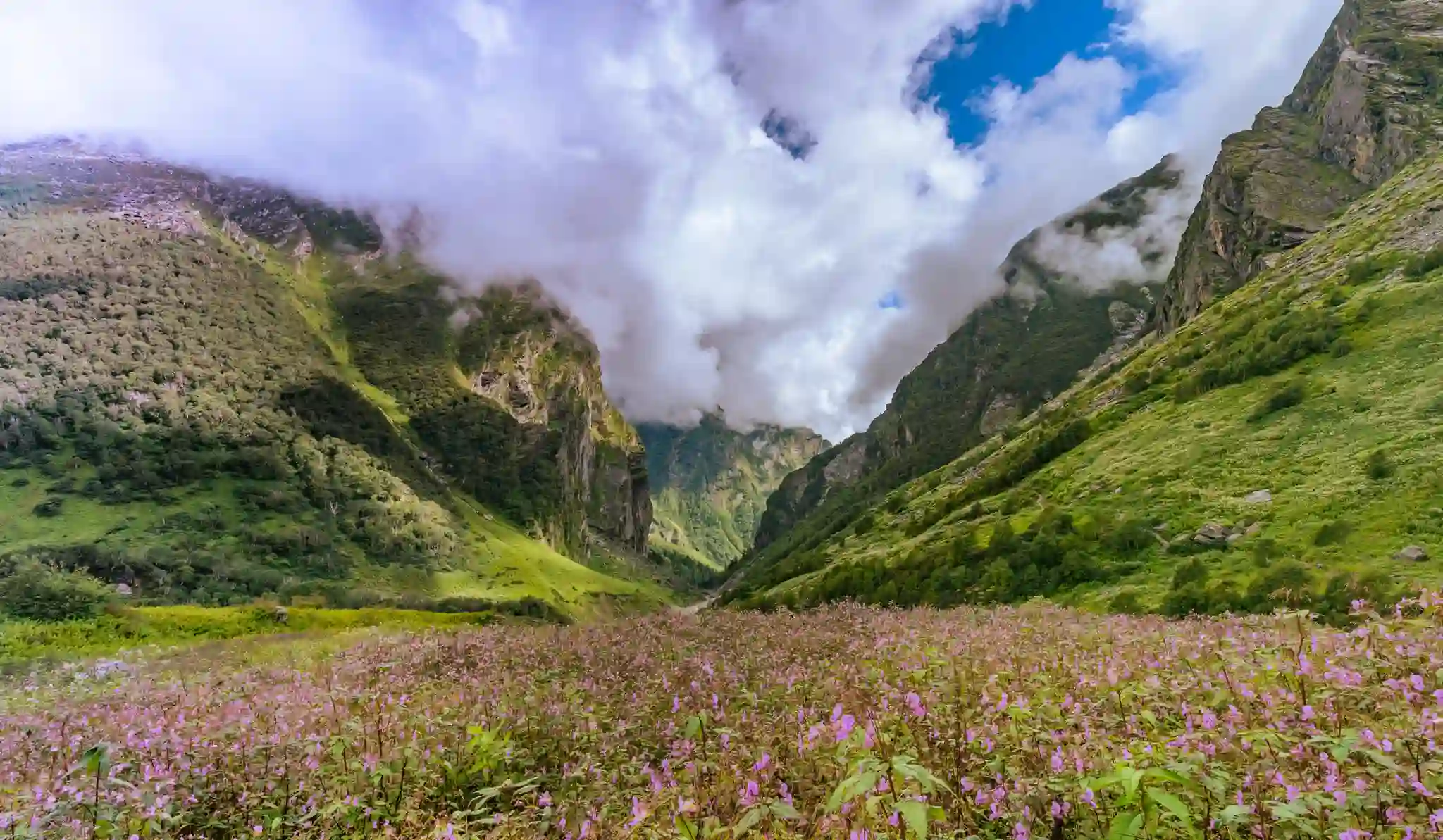 Valley of Flowers Trek