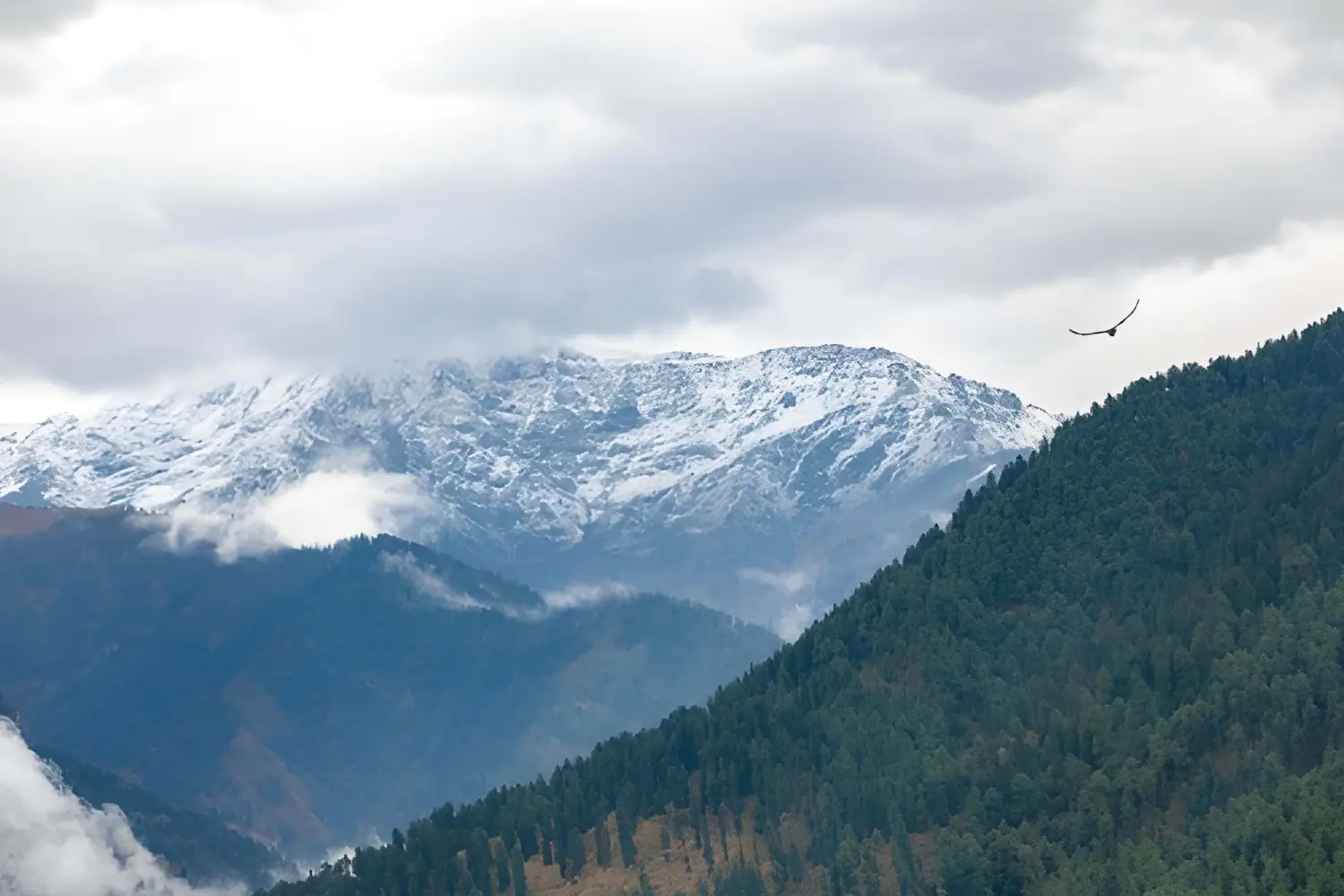 Tulian Lake Trek Kashmir