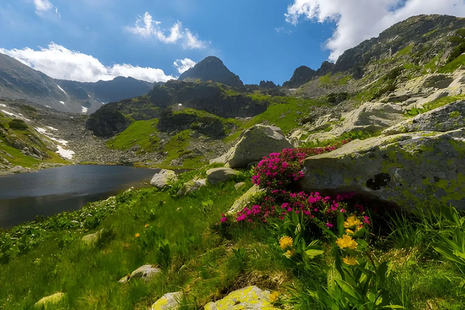 Tulian Lake Trek Kashmir