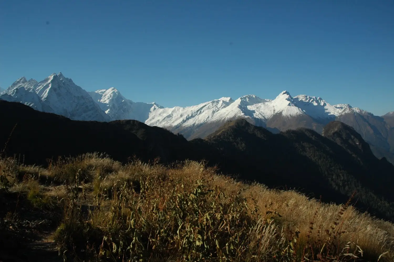 Nanda Devi East BC Trek