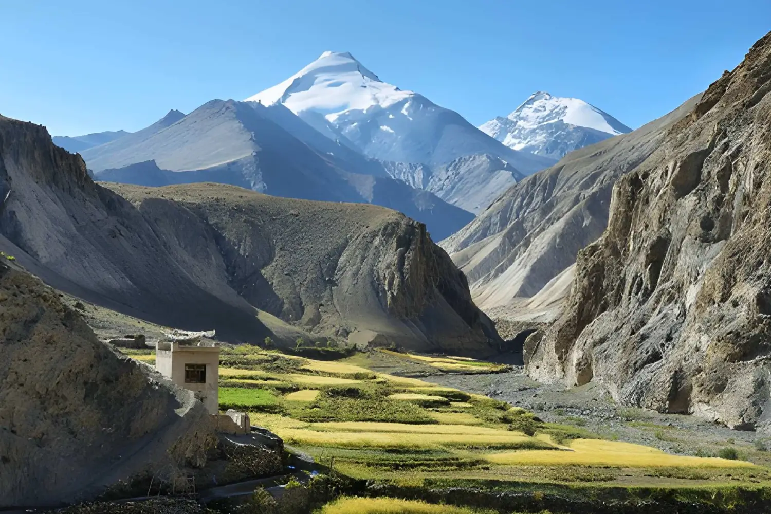 Ladakh High Valleys Trek