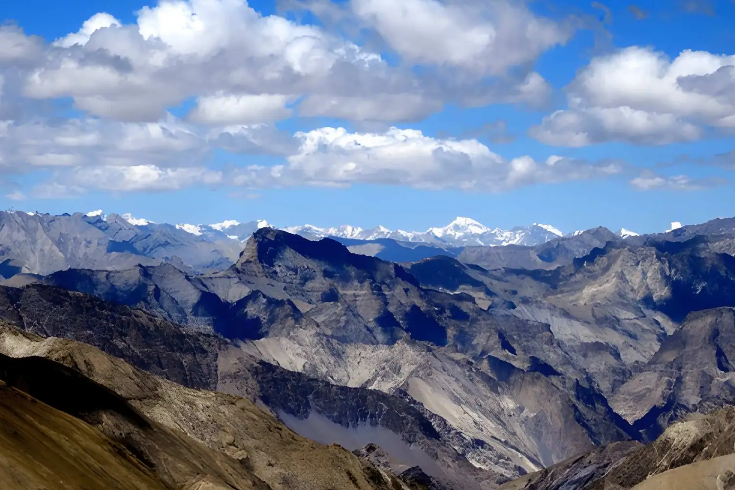 Markha Valley & Dzo Jongo Trek Ladakh