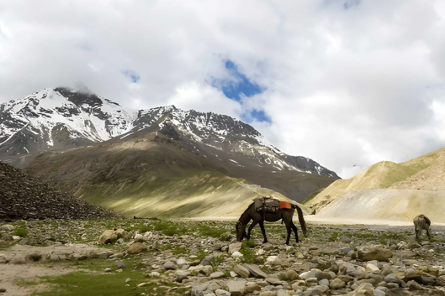 The Wild Ladakh and Remote Zanskar Trek