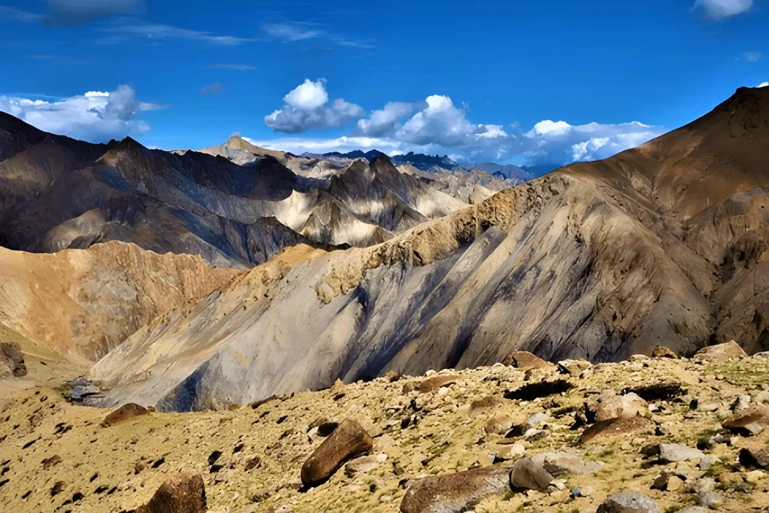 The Wild Ladakh and Remote Zanskar Trek
