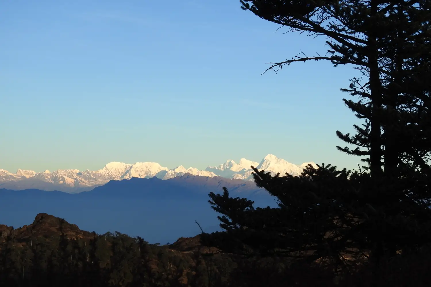 Singalila Ridge and Goecha La Circuit Round Trek