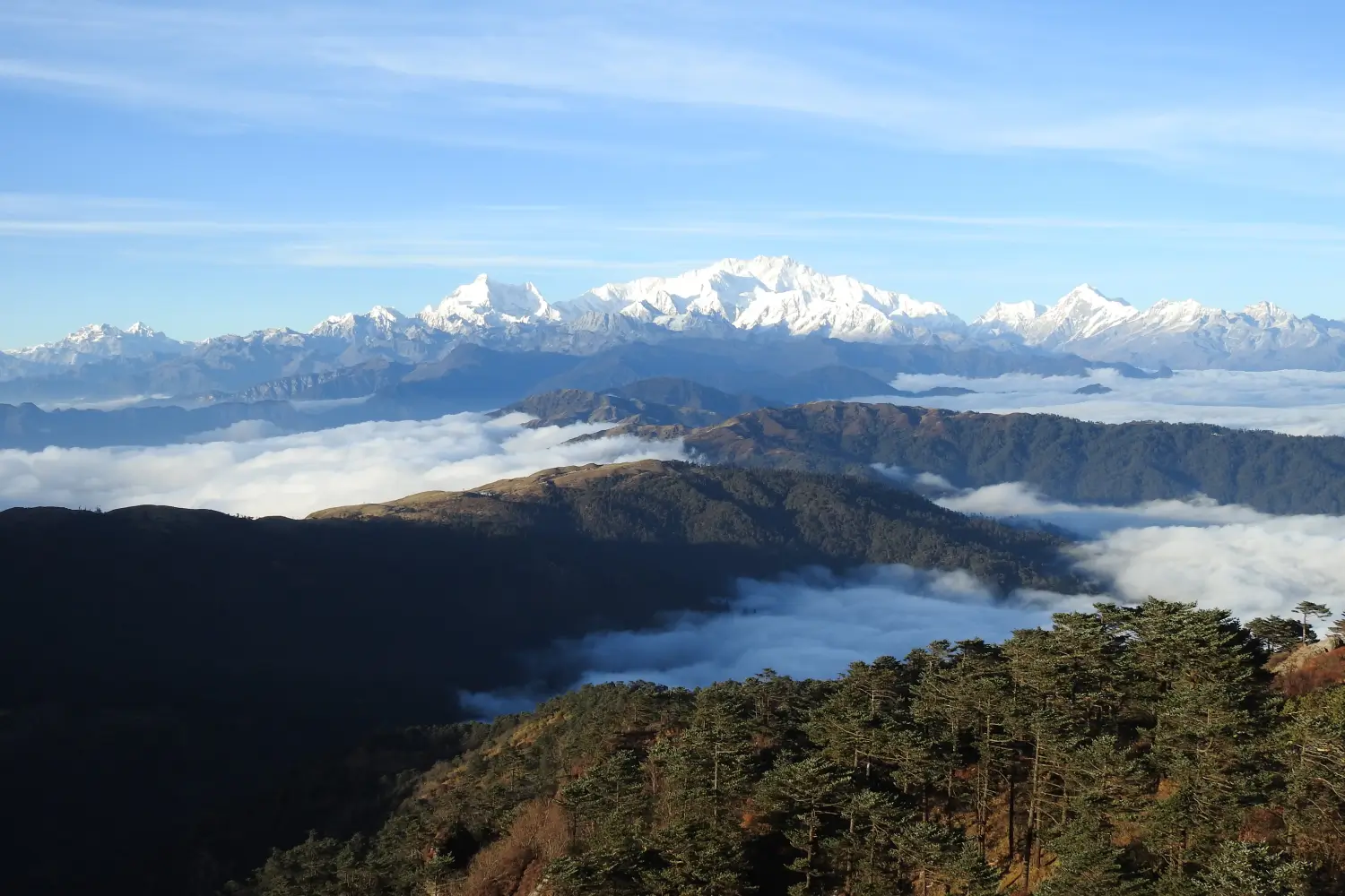 Singalila Ridge and Goecha La Circuit Round Trek