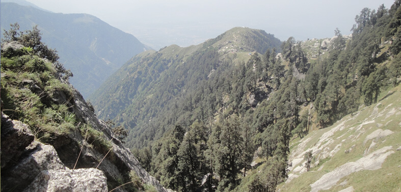 Dharamshala to Triund Trek Route