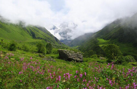 Valley of Flowers Trek