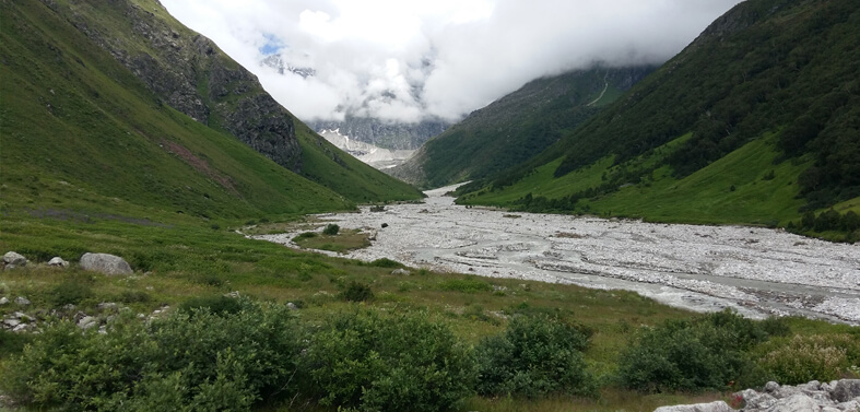 Kuari Pass - Valley of Flowers Trek Tour