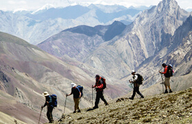 Wild Ladakh Trekking